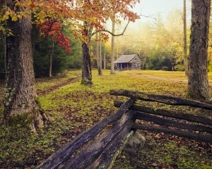 Carter Shield's Cabin