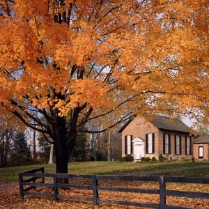 Autumn at Oatlands Church