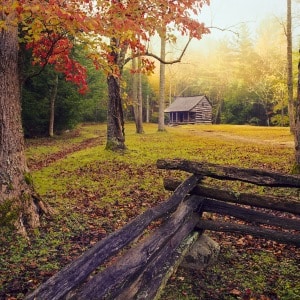 Carter Shields Cabin