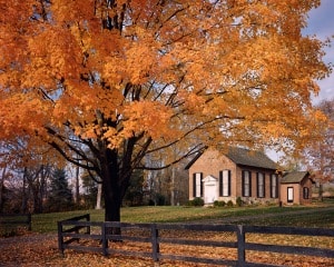 Autumn at Oatlands Church