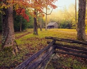 Carter Shields Cabin