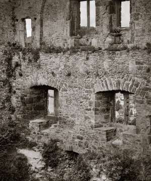 Wall of Windows and Vines