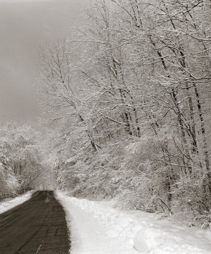 Along Lime Kiln Road