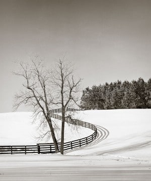Curved Fence in Snow Loudoun County
