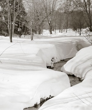 Loudoun Stream in Winter