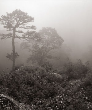Standing in Obscurity