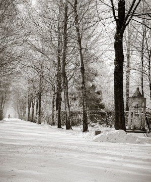 Winter Walk in Perlacher Forst