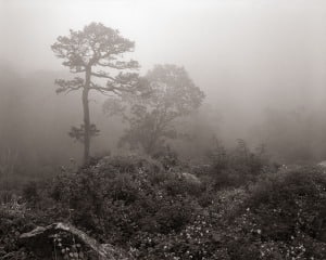 Standing in Obscurity